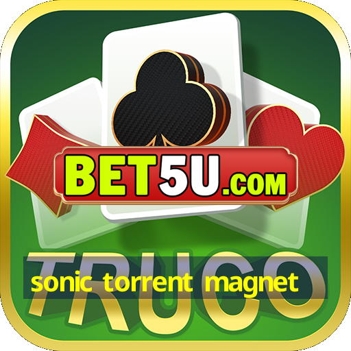 sonic torrent magnet